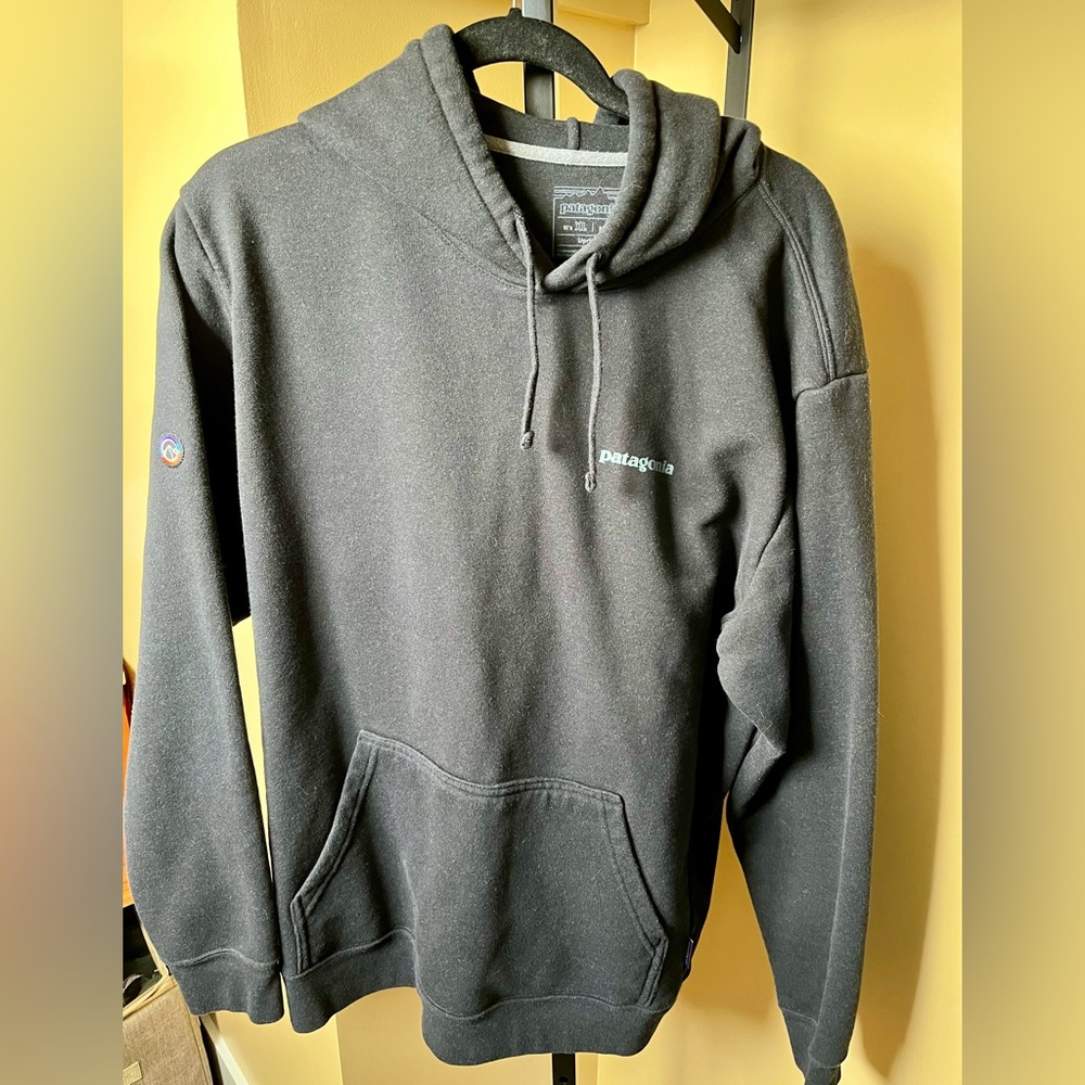 Patagonia Men's Hoodie